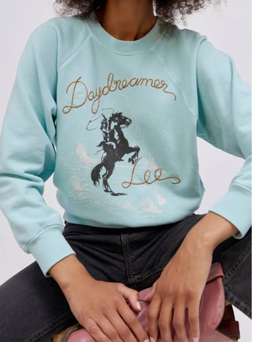 Daydreamer x Lee Jeans Light Blue Crewneck Sweatshirt NWOT Coastal Cowgirl Chic🤠